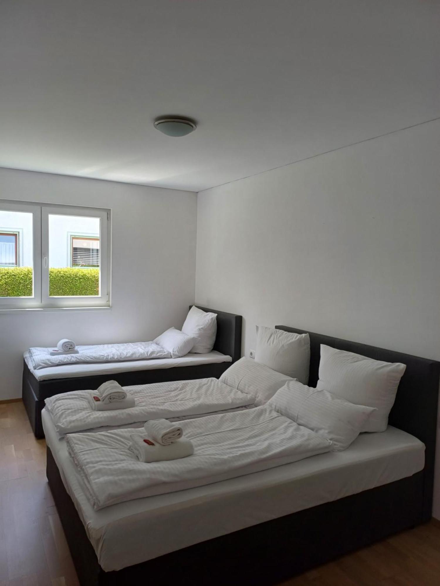 Crown Living Design Apartment - Gratis Parkplatz - Wlan - Kueche - Self Check-In Altach Экстерьер фото